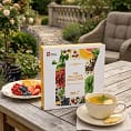3Pcs__lifestyle_TEA-_Compressify.io_600x
