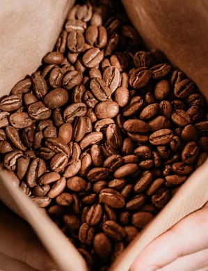 Lifestyle_beans_3-_Compressify.io_d2b5a6a6-8ff1-451e-8682-4e195e255e55_600x (13)
