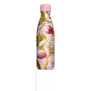 Fico Rosa