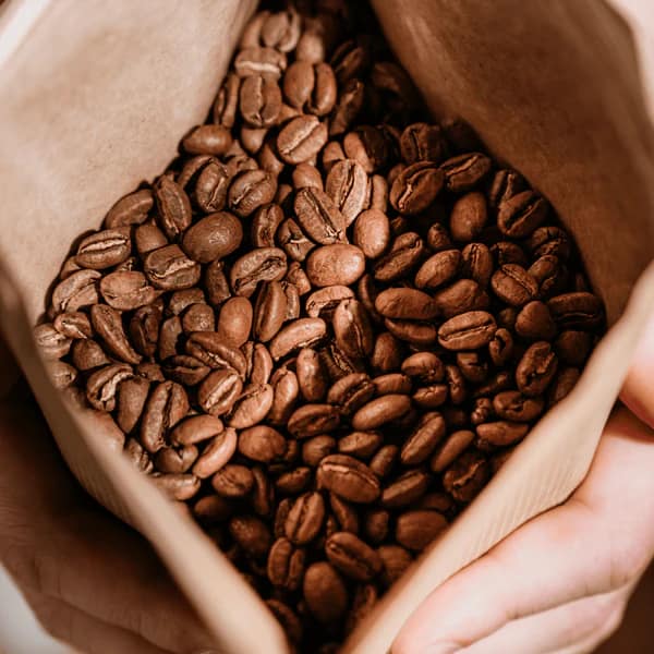 Lifestyle_beans_3-_Compressify.io_d2b5a6a6-8ff1-451e-8682-4e195e255e55_600x (18) Lifestyle_beans_3-_Compressify.io_d2b5a6a6-8ff1-451e-8682-4e195e255e55_600x (18)